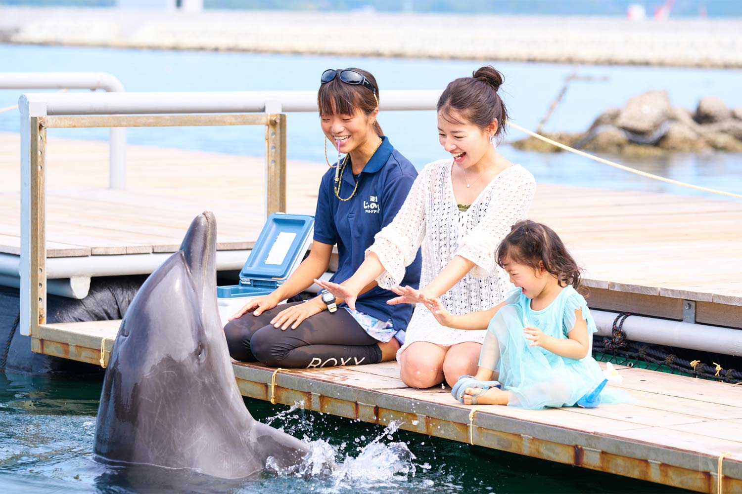 イルカふれあい体験